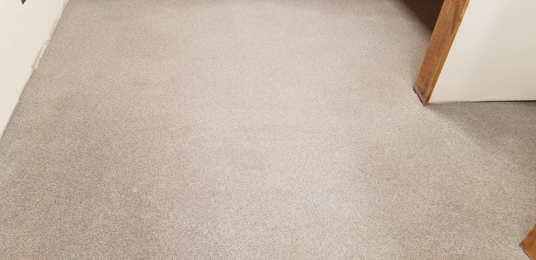 Freshly installed beige carpet in a clean, well-lit hallway. Ideal for home improvement.
