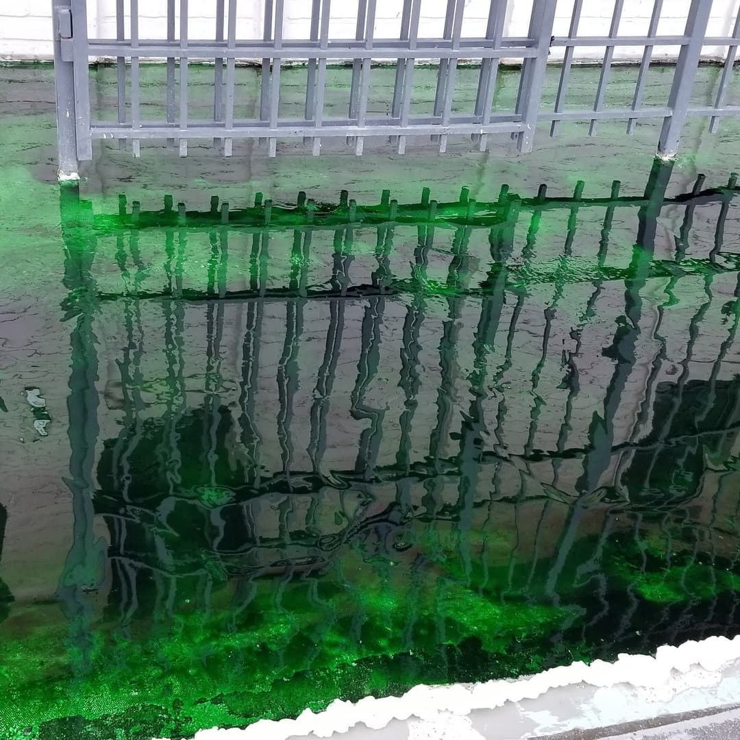 Reflection of a metal fence in green-tinted water with algae.