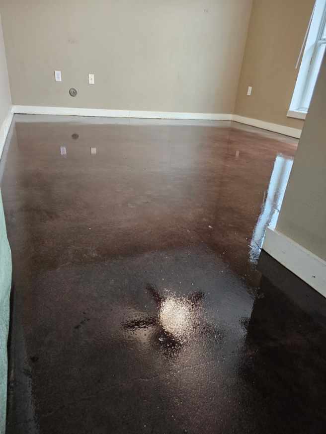 Gallery photos for Shiny Stained Concrete Floors in Houston Heights: Image #1
